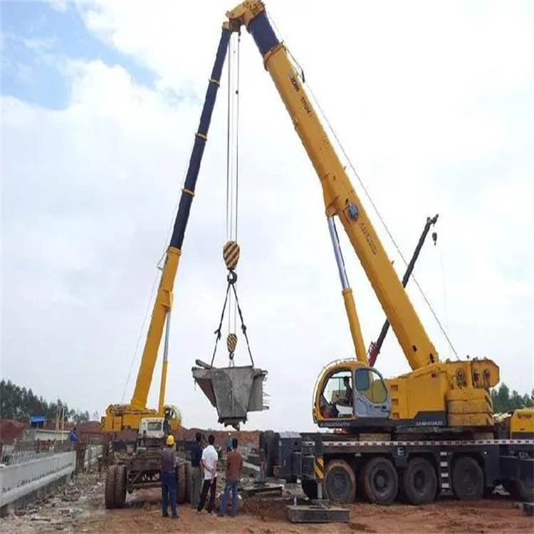 大安镇小型吊机出租电话|厂房设备吊装方案|24小时服务覆盖